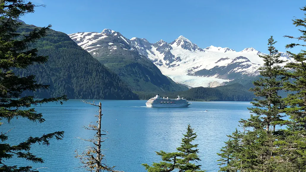 Princess Cruise Transfers